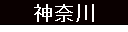 _ސ